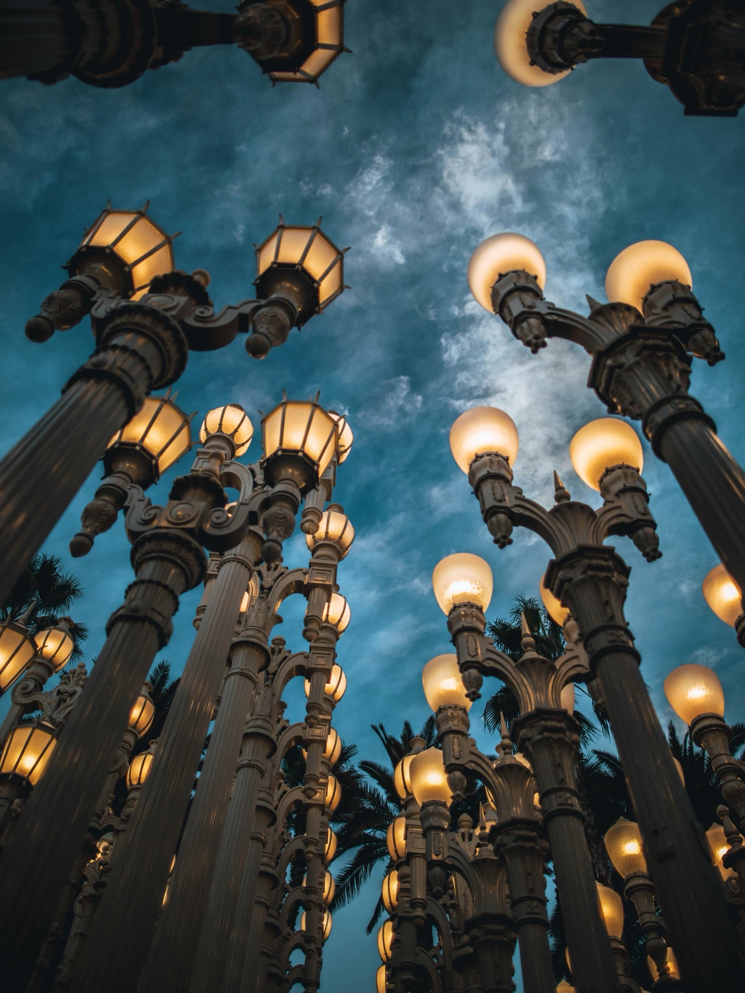 In the Footsteps of the Apostles